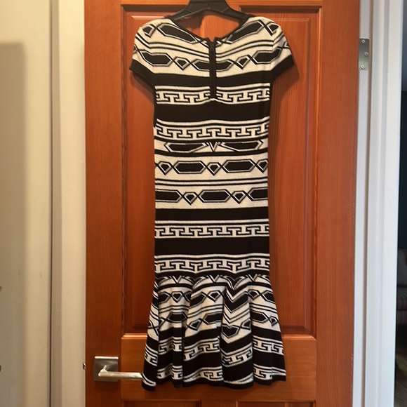 Alice + Olivia Darby Drop-Waist Geo-Knit, Aztec Pattern Sweater Knit Dress Black - Picture 7 of 9